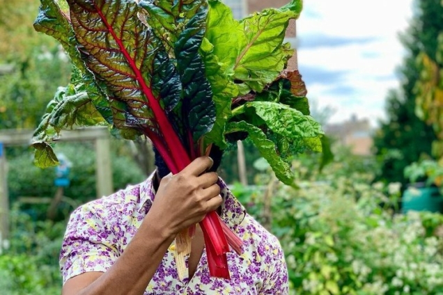 An image of a man holding a bundle of chard in front of his face.