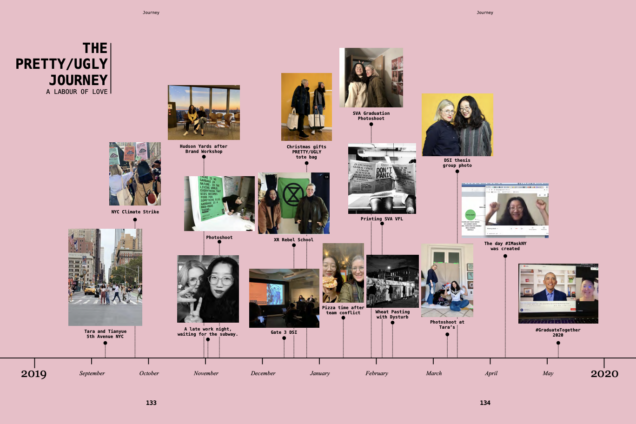 The Pretty/Ugly Journey Timeline with thumbnail images on a pink background.
