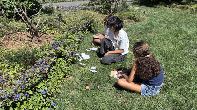 A group of teen girls sitting in the grass writing notes in the Brooklyn Botanical Garden.