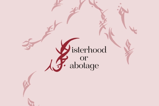 Sisterhood or Sabotage in red letters on a pink background.